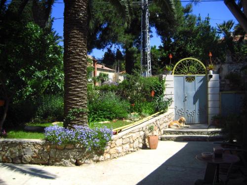  Apartments Veli Lošinj, Pension in Veli Lošinj