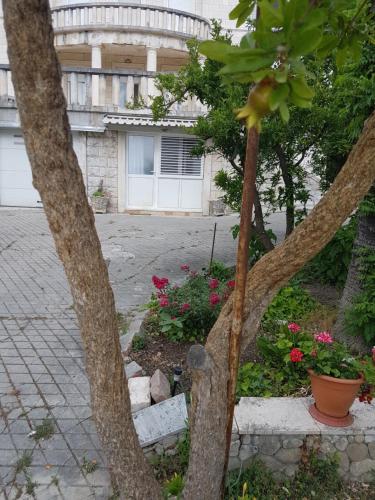 Apartment Lju on the Beach Apartment Lju on the Beach