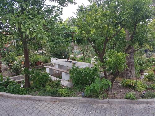 Apartment Lju on the Beach Apartment Lju on the Beach