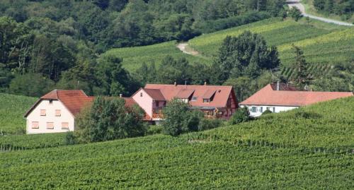 Gite "Au cerf" - Location saisonnière - Nothalten