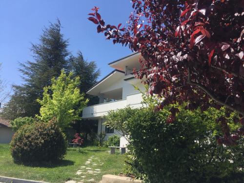  Gianmaria B&B, Unterkunft in Tricarico