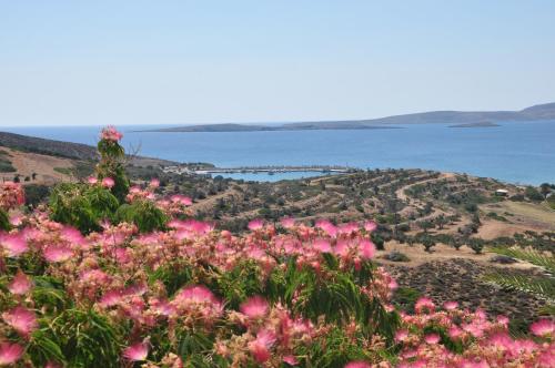 Castri Village Hotel