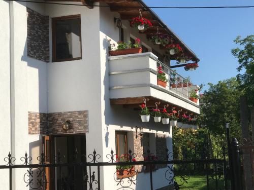 

Luxury apartment Turda