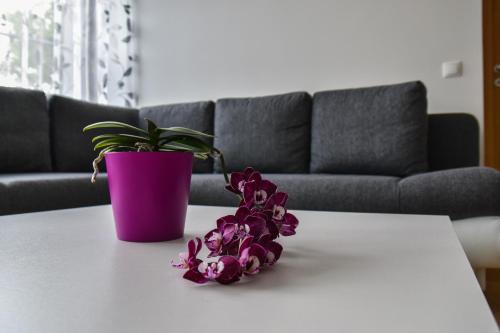 Mardi Downtown Apartment, Tallinn (photo 9)