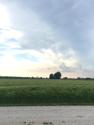  Corte Manzoglio, Gazzuolo bei Boretto