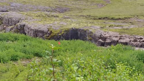 Fossardalur Guesthouse