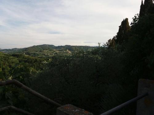 蒙塔佩提农家乐