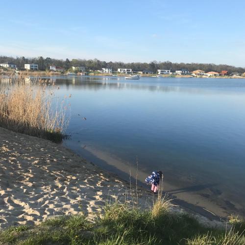 Strand, Fewo-Elbschlummer in Burg