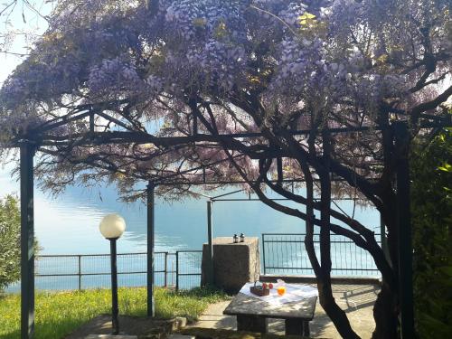  IseoLakeRental - La Villina - Zù, Pension in Riva di Solto bei Monasterolo del Castello