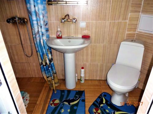 Guest House Azovsafari - image 7