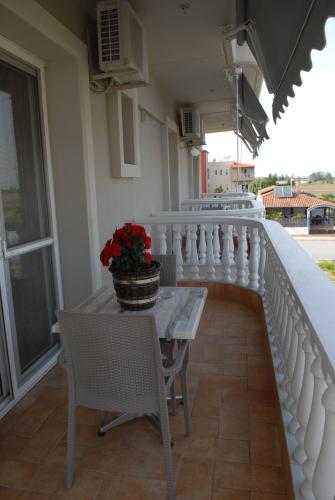 John & Eve Hotel - main image