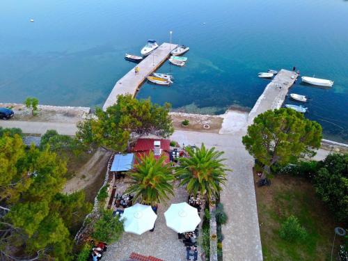 Gorgonia Suites in Verunic - image 10