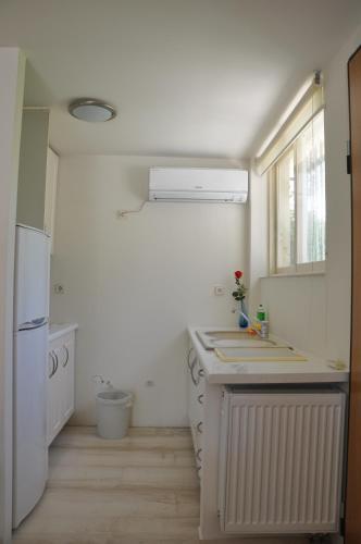 Cosy Studio with Garden / Individual apartment, Atény (fotografie 10)