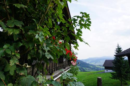 Ferienwohnungen im Blockhaus Metzler