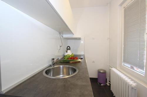 New Belgrade Apartment ARENA - image 9