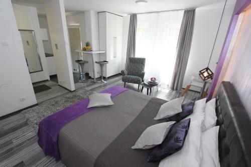 New Belgrade Apartment ARENA - image 2