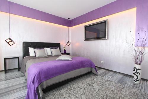 New Belgrade Apartment ARENA - main image