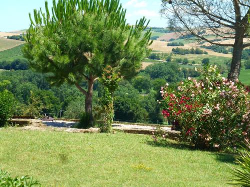 Casa Montale - main image