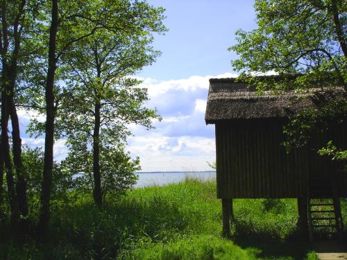 Hotel Müritz-Park - image 2