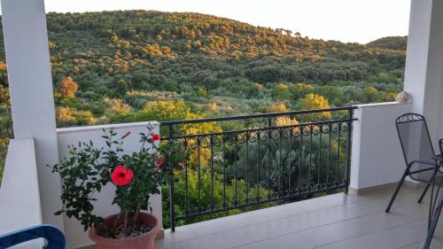  Apartment Anamaria in Okrug Gornji