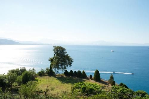  Sopra il Limoneto, Pension in Cetara