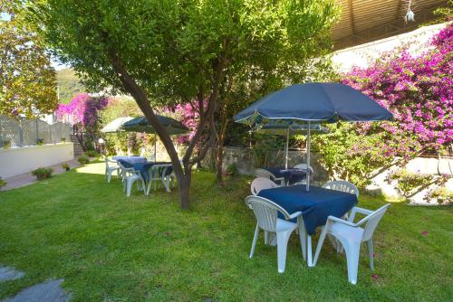 Villa al Porto - image 8