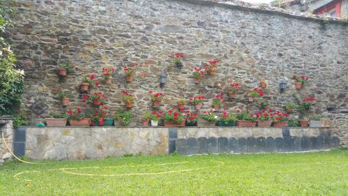 La Pumarada de Limés - image 8