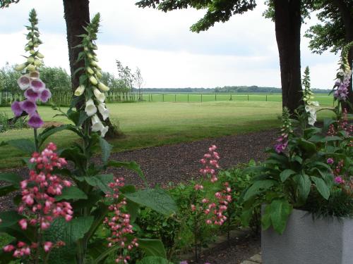  Ooldershoeve, Pension in Onstwedde bei Oude Pekela