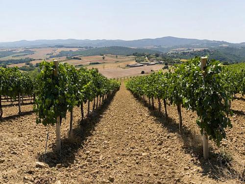 Podere Schioppello Casale con appartamenti privati