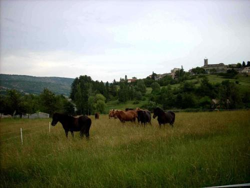 GITE PROVENCE LUBERON -PACA- Acces PMR-ANCV - Location saisonnière - Revest-des-Brousses