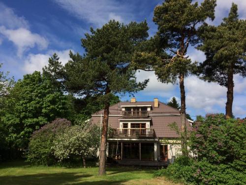 Paivilla Boutique Hotel - image 9