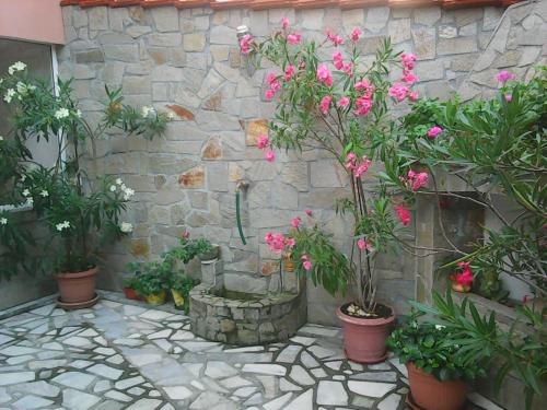 Stedi Guest House - main image