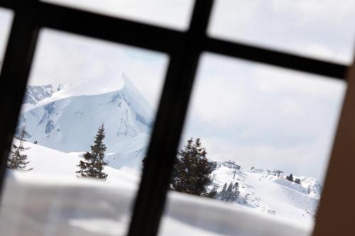 Hotel Wagner - image 13