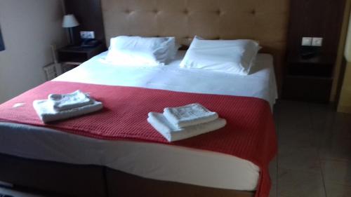 Parthenon Hotel - image 8