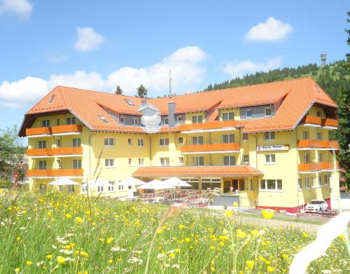 Burg Hotel Feldberg Feldberg ( Baden Wuerttemberg )