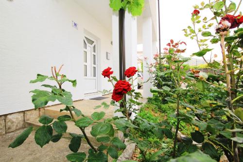 Apartment Anica - image 3