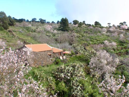  Casa rural La Jarita, Pension in El Pinar del Hierro