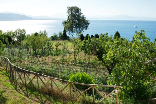 Sopra il Limoneto - image 6