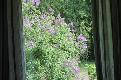 Palvelut, Guesthouse - Kuin Kotonaan in Kotka