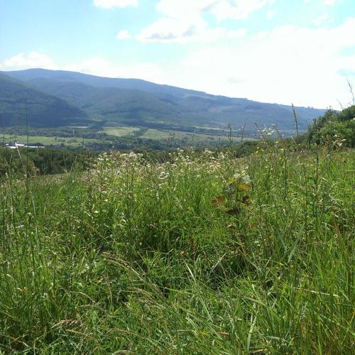Homestay Khomenko - image 4