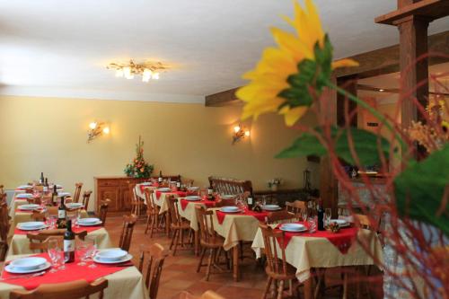 Albergo Genzianella in Careggine