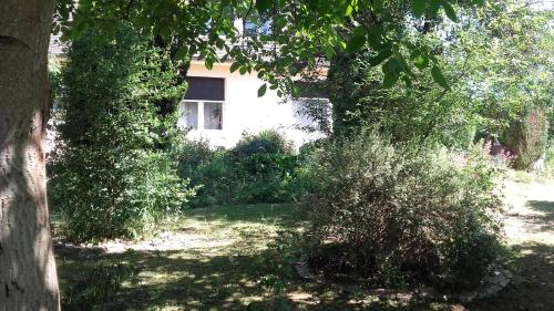 Chambres du Jardin Fleuri