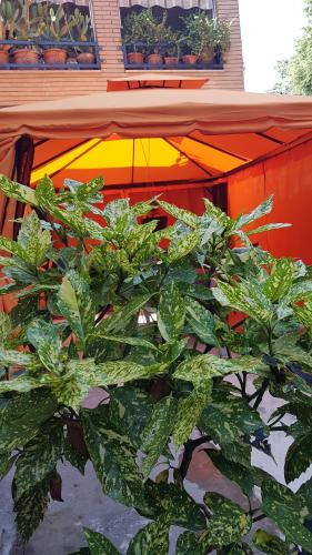 Bed Rho Fiera - Milano Galeazzi