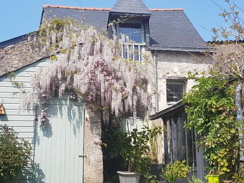 Kilátás, Appartement in Madeleine-Saint-Leonard