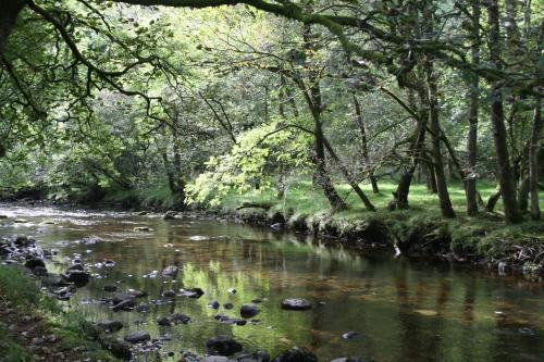 Nant Ddu Lodge Hotel & Spa