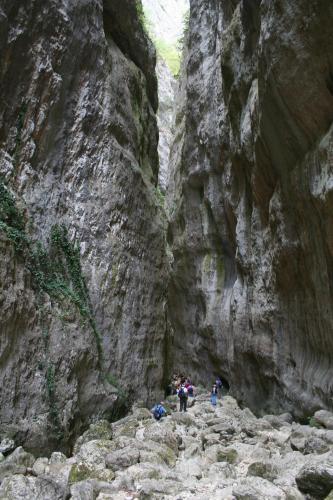Hotels Image