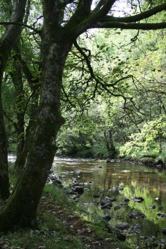 Nant Ddu Lodge Hotel & Spa