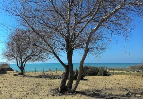 Holiday Menfi | Casale Abate - image 9