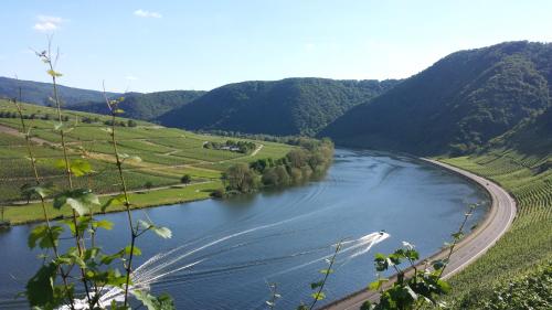 Ferienweingut Oswald Friederich - image 11