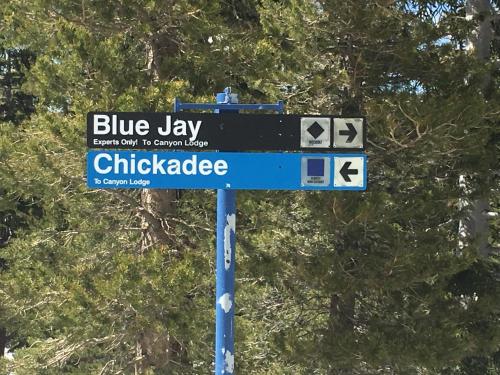 Blue Jay Chalet - image 8